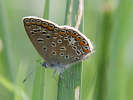 IMG_5454.jpg