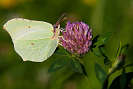 IMG_5995.jpg