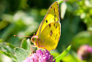IMG_6004.jpg
