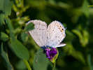 IMG_6016.jpg