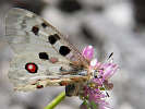 IMG_6060.jpg