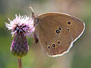 IMG_6169.jpg