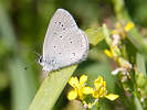 IMG_6375.jpg