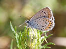 IMG_6406.jpg