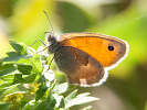 IMG_6463.jpg