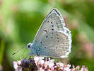IMG_6521.jpg