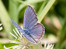 IMG_6554.jpg