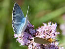 IMG_6623.jpg