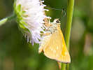 IMG_6635.jpg