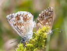 IMG_6653.jpg