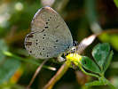 IMG_6683.jpg