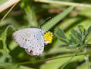 IMG_6688.jpg
