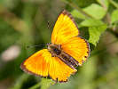 IMG_6715.jpg