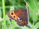 IMG_6767.jpg