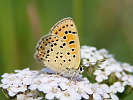 IMG_6846.jpg