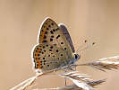 IMG_6851.jpg