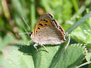 IMG_6894.jpg