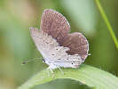 IMG_6941b.jpg