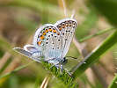 IMG_6973.jpg