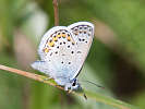 IMG_6975.jpg