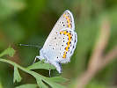IMG_7023.jpg