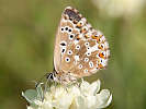 IMG_7357.jpg