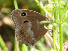 IMG_7396.jpg