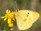 IMG_7441.jpg