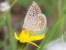 IMG_7455.jpg