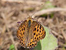 IMG_7492.jpg