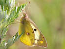 IMG_7518.jpg