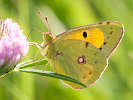 IMG_7572.jpg