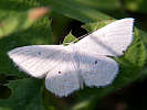IMG_7574.jpg