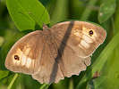 IMG_7601.jpg