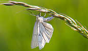img_4572_web.jpg