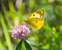 img_6279_small.jpg