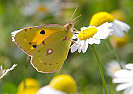 img_6283_small.jpg