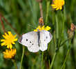 img_6456_web.jpg