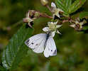 img_6520_web.jpg