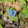 img_7031.jpg