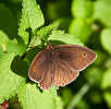 img_7504.jpg
